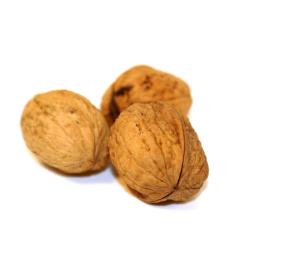 NOIX SECHE AOC GRENOBLE  LE KG