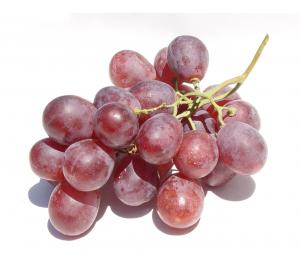 RAISIN MUSCAT DE HAMBOURG