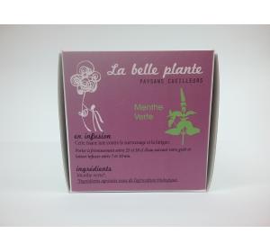 INFUSION MENTHE VERTE