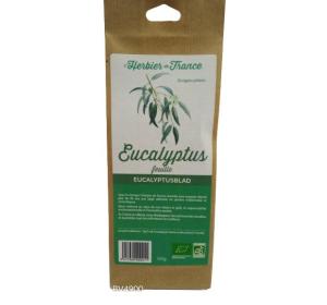 EUCALYPTUS FEUILLE