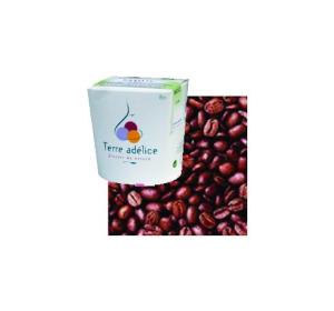 CREME GLACEE CAFE
