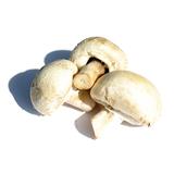 CHAMPIGNON DE PARIS LE KG
