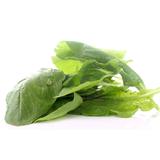 EPINARD FEUILLE LE KG