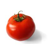 TOMATE RONDE LE KG