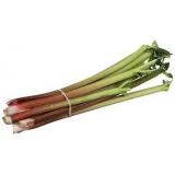 RHUBARBE LE KG