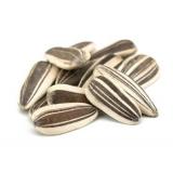 GRAINES DE TOURNESOL VRAC  LE KG