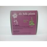 INFUSION MENTHE VERTE