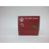 INFUSETTE MENTHE POIVREE