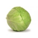 CHOU VERT LISSE KG