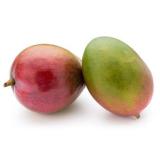 MANGUE OSTEEN