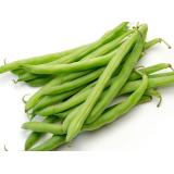 HARICOT VERT LE KG