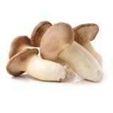 CHAMPIGNON PLEUROTE LE KG
