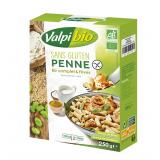 PENNE RIZ COMPLET ET FEVES