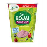 SO SOJA  MYRTILLE CERISE SANS SUCRE AJOU