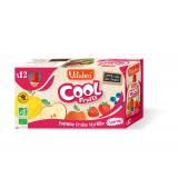 COOL FRUITS POMME FRAISE MYRTILLE X12