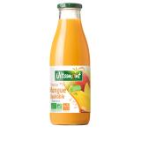 NECTAR DE MANGUE