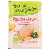 POUDRE A LEVER 40G SANS GLUTEN