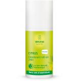 DEODORANT ROLL-ON 24H CITRUS