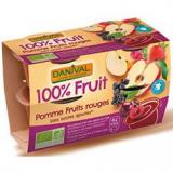 COMPOTE POMME FRUITS ROUGE X4