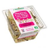 GRAINES GERMEES ALFAFA RADIS FENOUIL