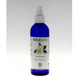 EAU FLORALES FLEUR D'ORANGER