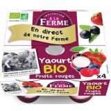 YAOURT FRUITS ROUGES  4X125G BATISSE