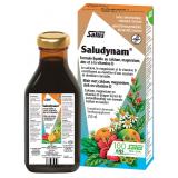 SALUDYNAM
