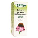 ECHINACEA PURPUREA 50ML