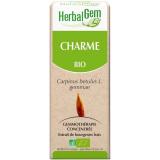 CHARME 15ML