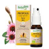 PROPOLIS LARGE SPECTRE SPRAY