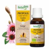 PROPOLIS LARGE SPECTRE GOUTTE