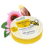 GOMMES JUNIOR PROPOLIS